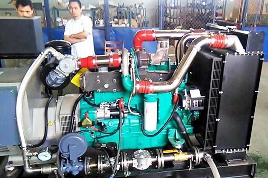 Power Genset Conversion to CNG