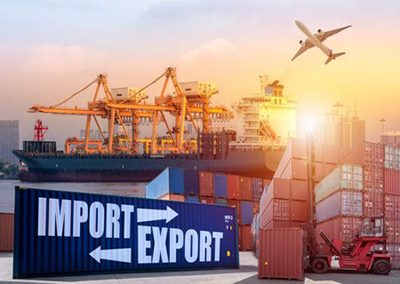 Import Export Code License
