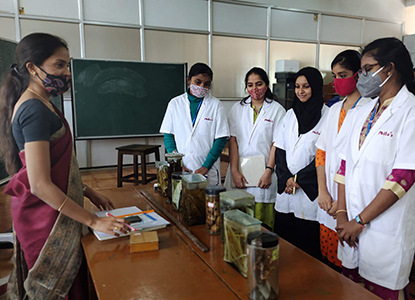 What is the Reason for Choosing Botany as An Optional Subject for UPSC?