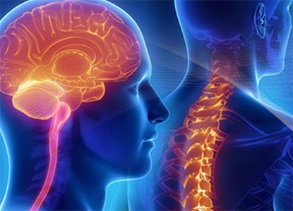 Comprehensive Brain And Spine Solutions