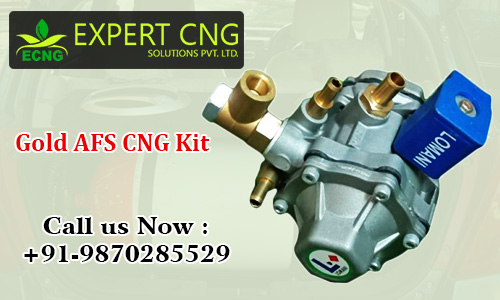 Gold AFS CNG Kit