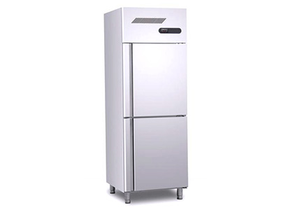 Commercial 2 Door Vertical Chiller Manufacturer in Delhi