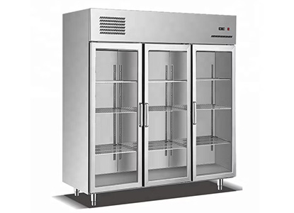 Commercial Pantry Display Refrigerator Manufacturer in Delhi