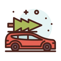 Car Decor Services in India