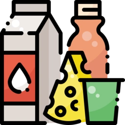 Dairy Product Supplier in India