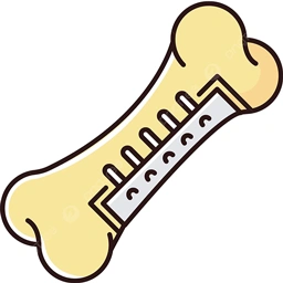 Bone Screws Manufacturer & Supplier in India