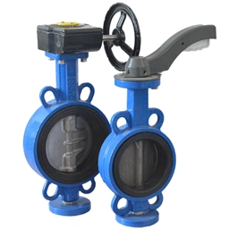 Butterfly Valves Manufacturer & Supplier in India