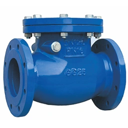 Check Valves Manufacturer & Supplier in India