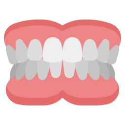 Dentures Manufacturer & Supplier in India
