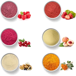 Dry Powder Flavours Manufacturer & Supplier in India