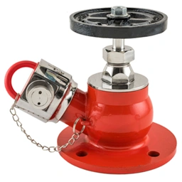 Fire Hydrant Valve Manufacturer & Supplier in India