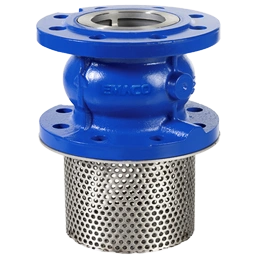 Foot Valves Manufacturer & Supplier in India
