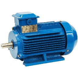 Induction Motors in Sasaram