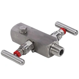 Manifold Valves Manufacturer & Supplier in India