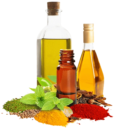 Spices Extracts Manufacturer & Supplier in India