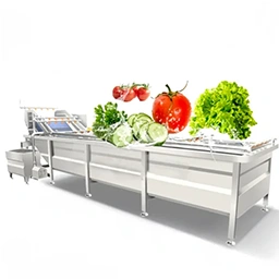 Vegetable Processing Plant Manufacturer & Supplier in India