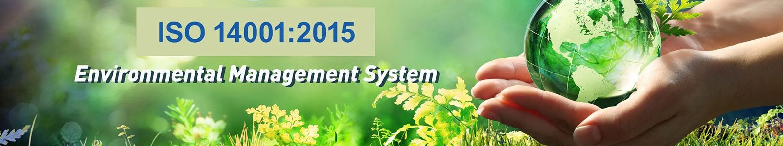 ISO 14001 Certification for Environmental Management System