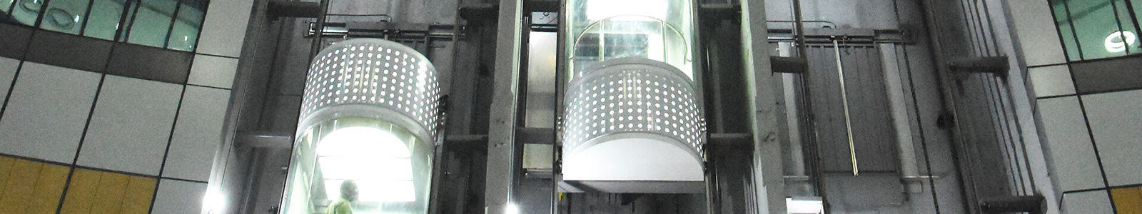 Panoramic Lift Supplier in India