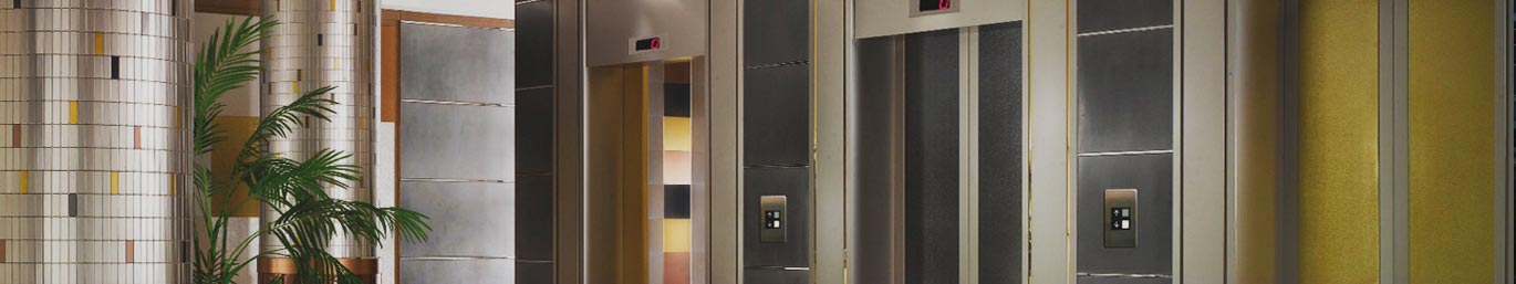 MS Swing Elevator Door Supplier in India
