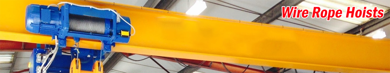 Wire Rope Hoists