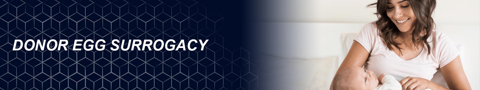 Donor Egg Surrogacy Supplier in India