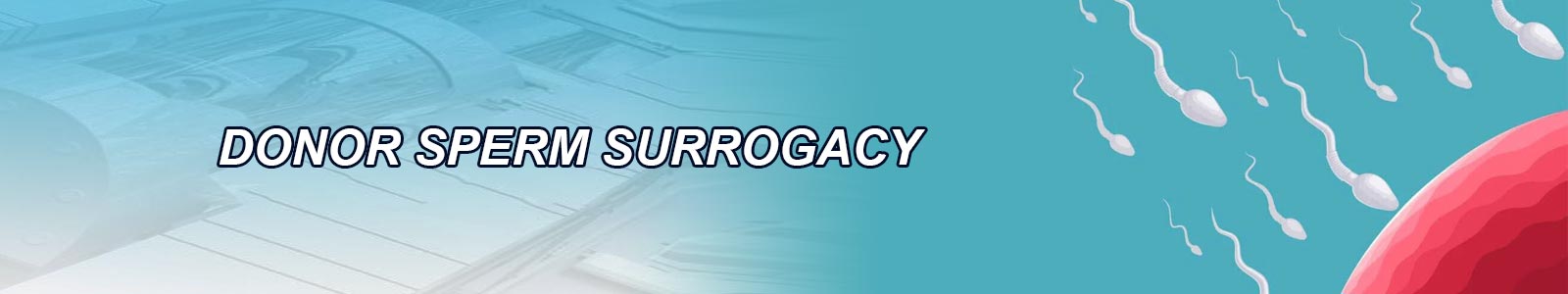Donor Sperm Surrogacy Supplier in India