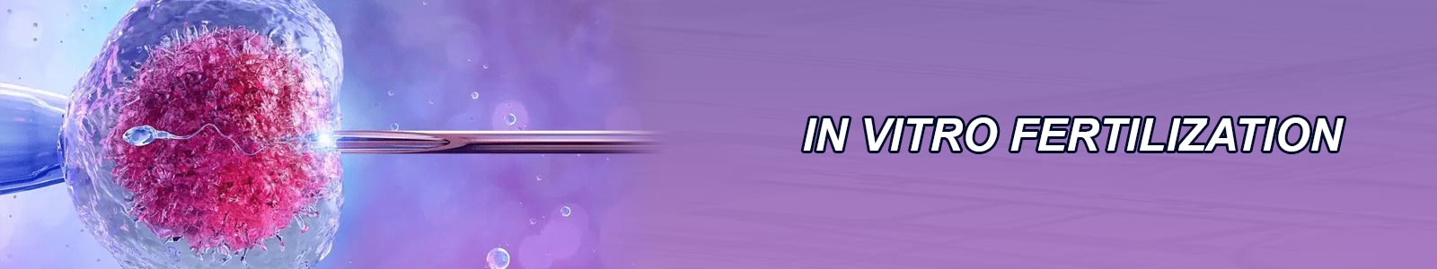 In Vitro Fertilization Center in India