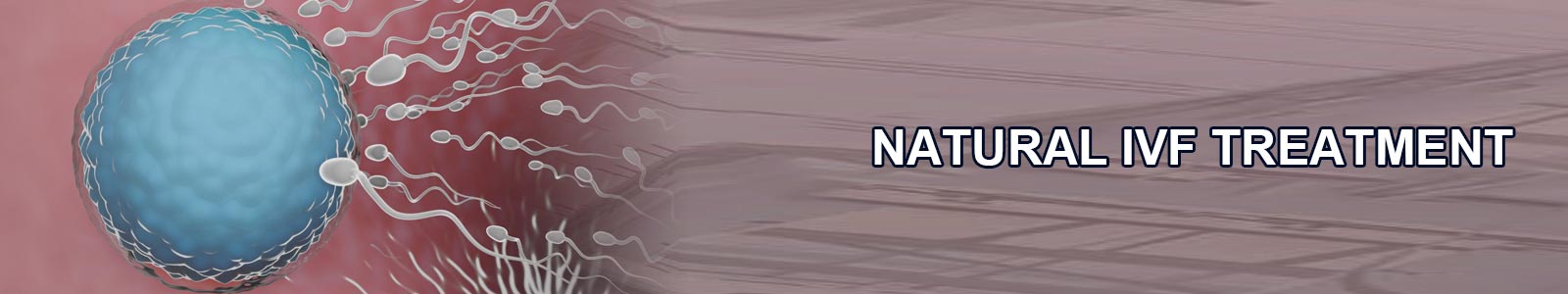 Natural IVF Treatment in India